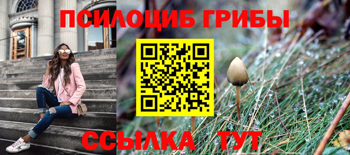 Галлюциногенные грибы Psilocybe  Вход с VPN  Заводоуковск  Галлюциногенные грибы GOLDEN TEACHER 