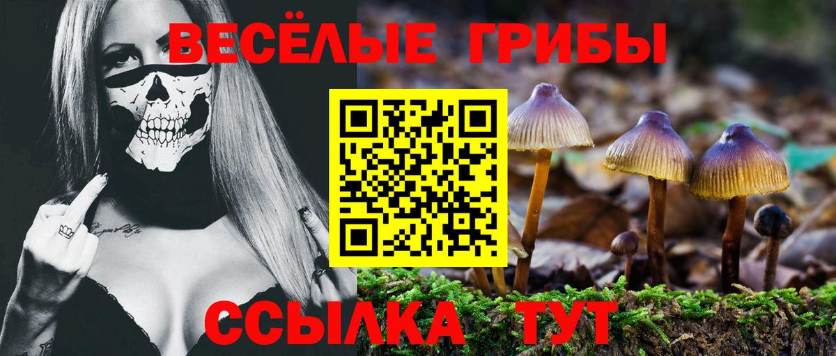 Галлюциногенные грибы мухоморы Заводоуковск